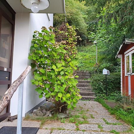 Regio Basiliensis Apartment Grenzach-Wyhlen Exterior photo
